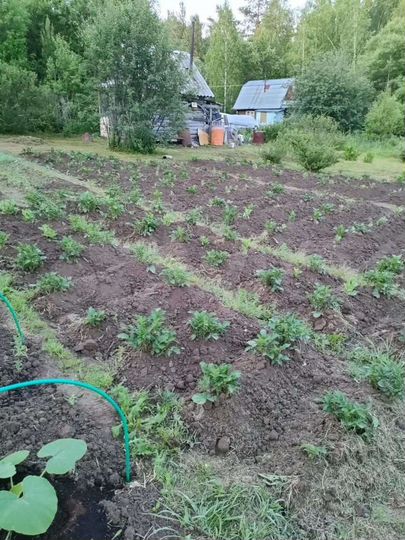 Дача 24 м² на участке 6 сот.