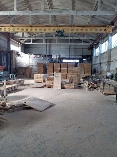 Лесопильное производство, 1200 м²