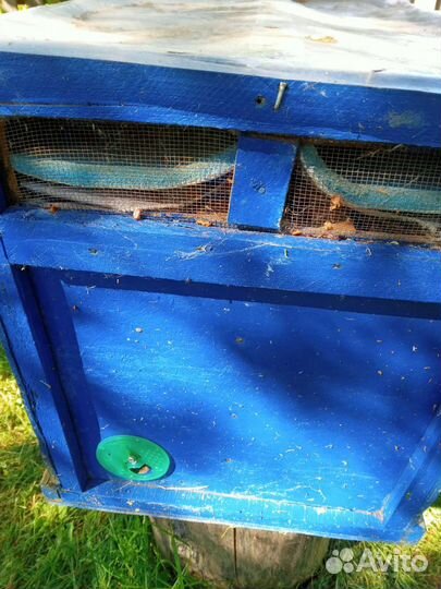 Ульи для пчел