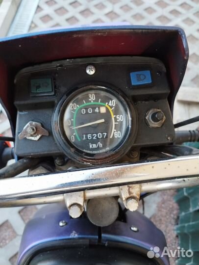 Зид пилот 50