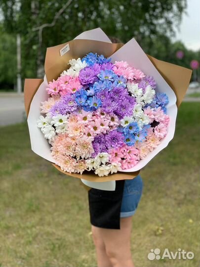 Хризантема