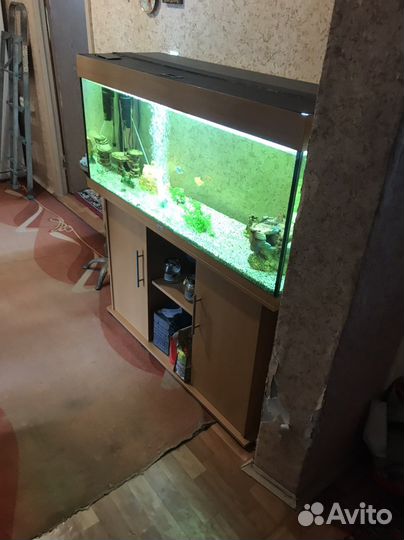 Аквариум с тумбой juwel 230л