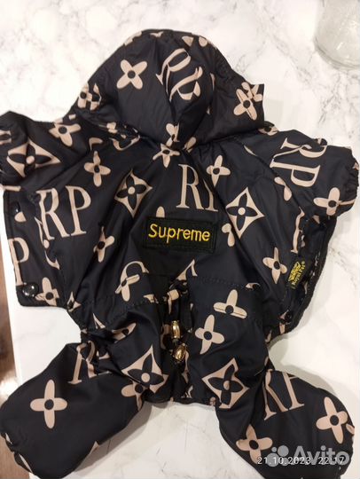 Одежда для маленьких собак