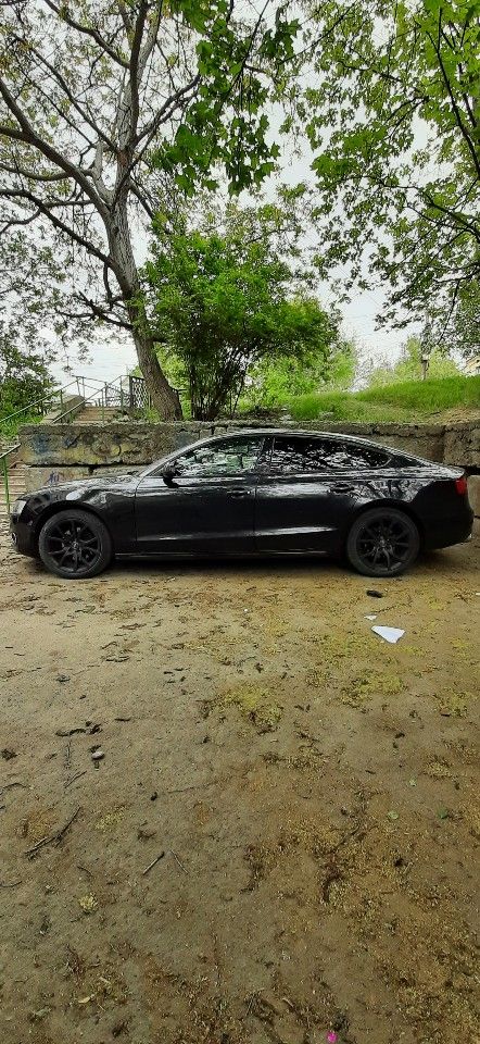Audi A5: фото владельца
