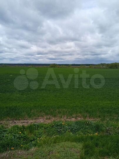 Участок 8,92 га (ИЖС)