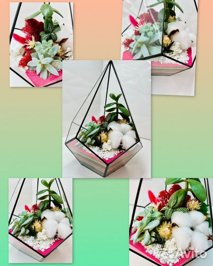 Флорариум с экзотичнакими цветами