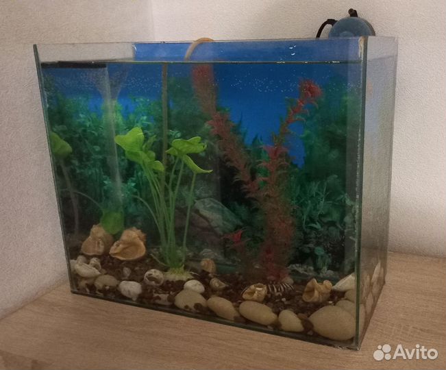 Аквариум