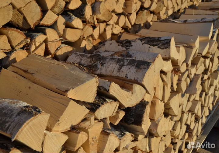 Дрова осина