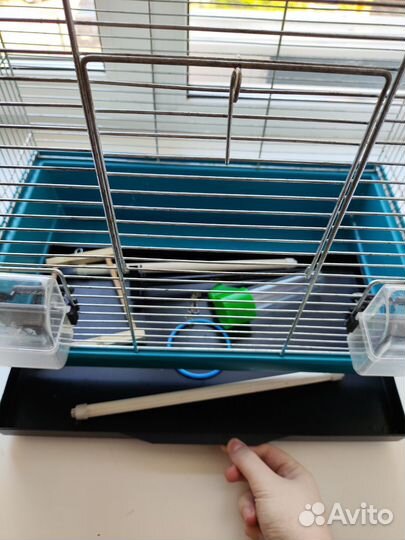 Клетка для попугая