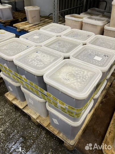 Свежий. Натуральный мед оптом