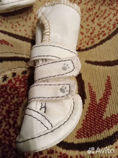 Сапожки для маленькой собачки