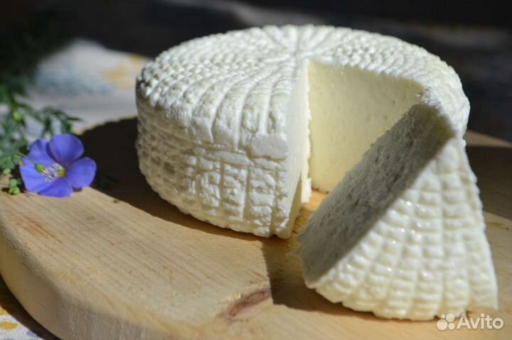 Козье молоко. Сыр из козьего молока