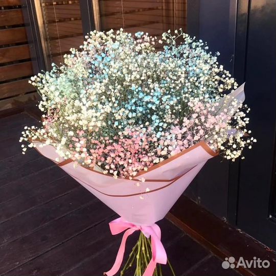 Гипсофила радужная