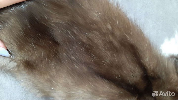 Шкурки якутского соболя