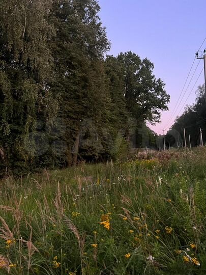 Участок 24,9 сот. (ИЖС)