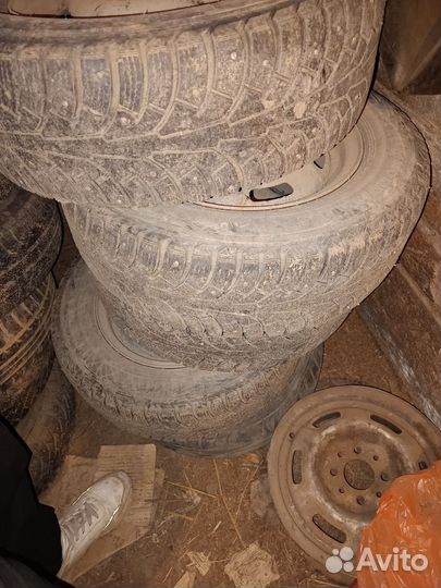 Nokian Tyres Nordman 5 175/70 R13