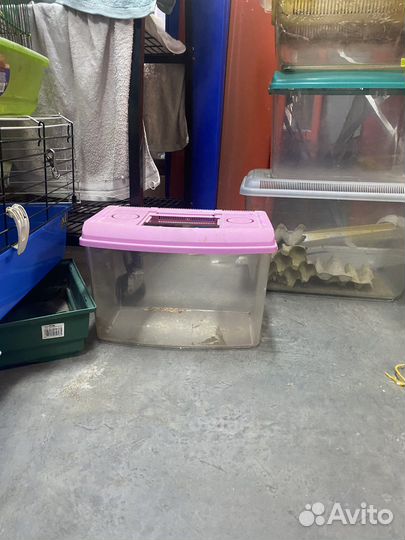 Пластиковый контейнер для животных