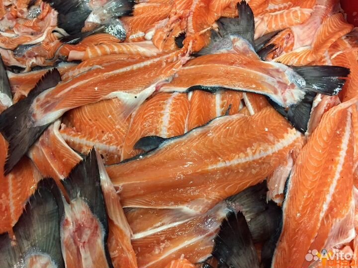 Обрези красной рыбы