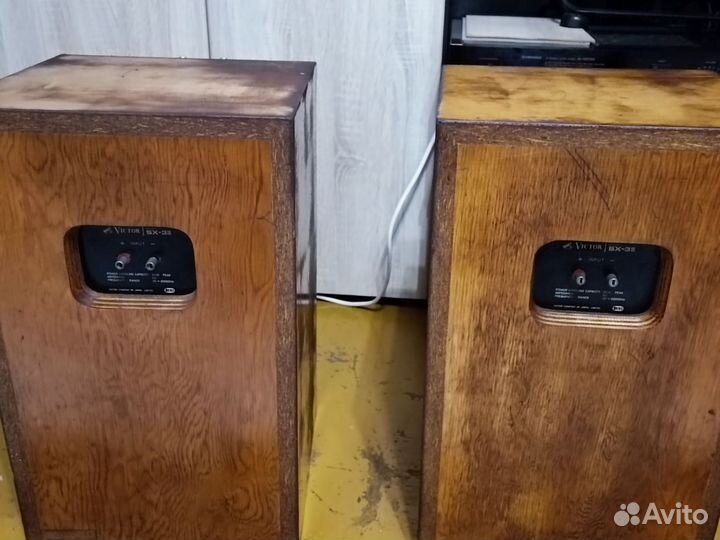 Шикарные, крупные полочники victor