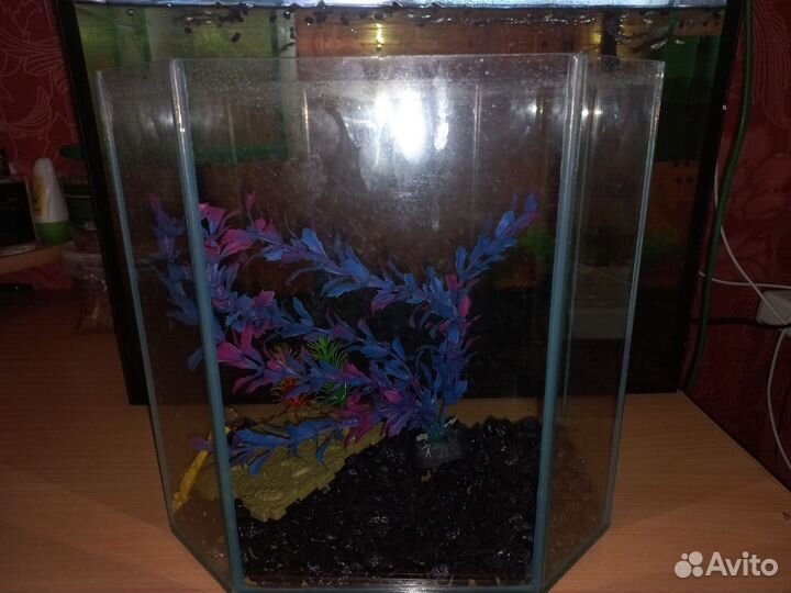 Аквариум
