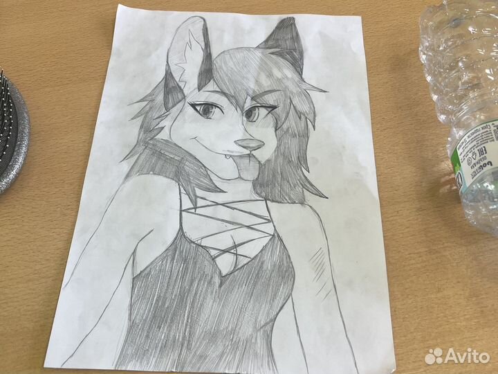 Рисунок фури