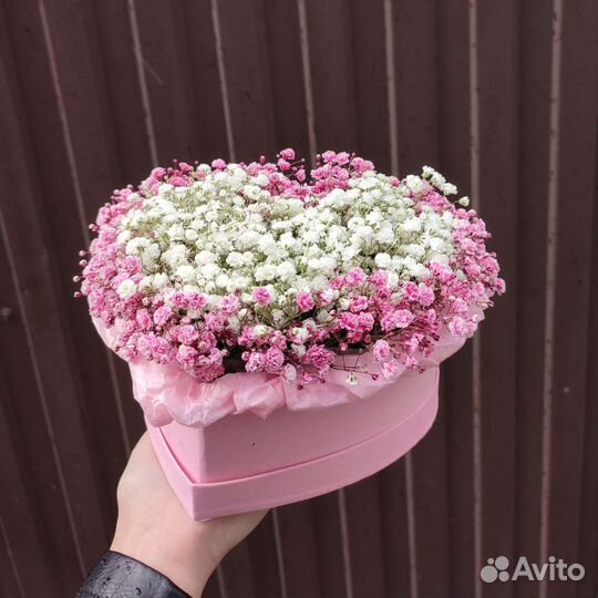 Композиции из гипсофилы