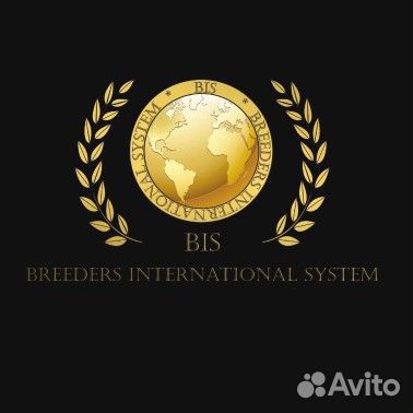 Родословные для собак BIS