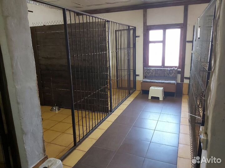 Передержка домашних животных