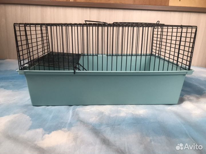 Клетка и всё необходимое для неё