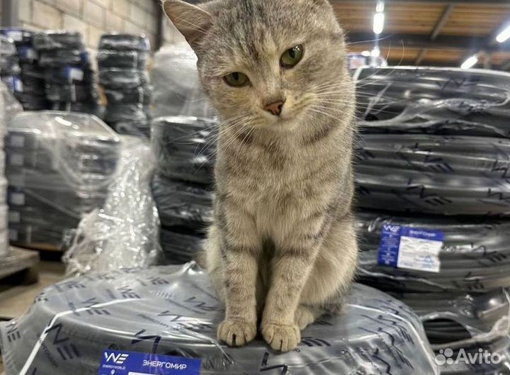 Кабель ввг 2х2 5