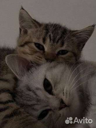 Украшения из бисера