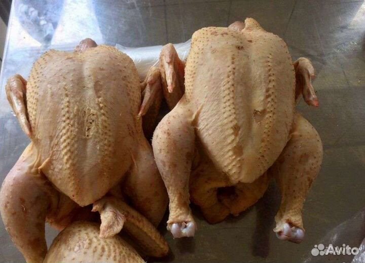 Домашние куриные яйца