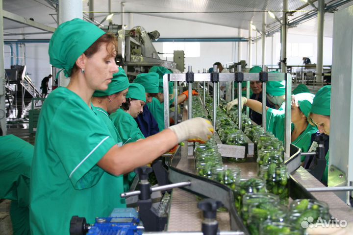 Оператор линии конвейера. Вахта