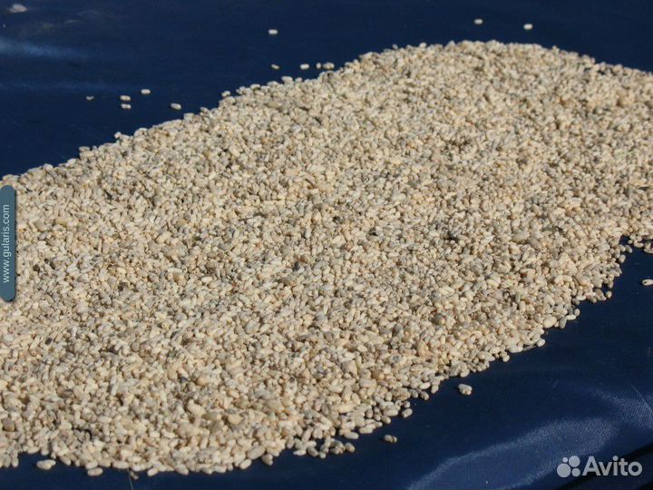 Корм для стрижей Корм для птиц