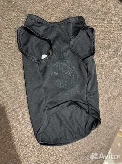 Одежда для маленьких собак