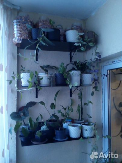 Полка настенная