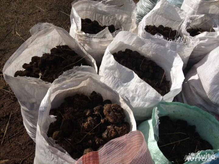 Чистый конский навоз