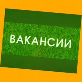 Маляр Вахта Выпл.еженед Жилье/Питание Отл.Усл