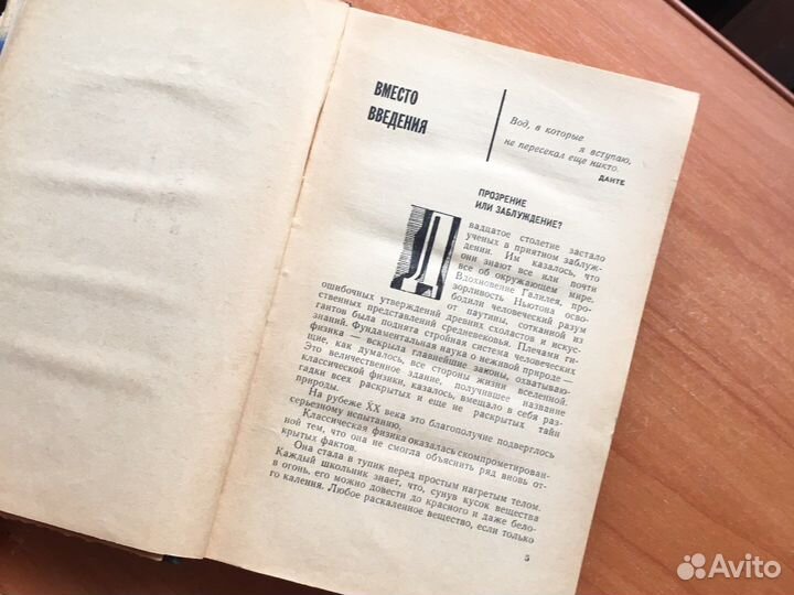 Книга Безумные Идеи Ирина Радунская