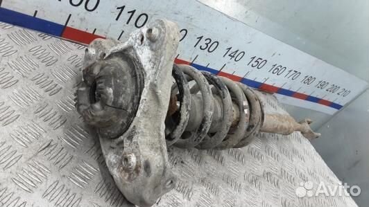 Стойка передняя правая audi A4 B7 (9DN10N501)