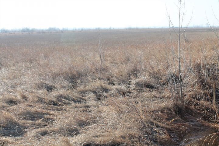 Участок 62 га (СНТ, ДНП)