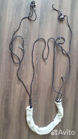 Шлея пессоа