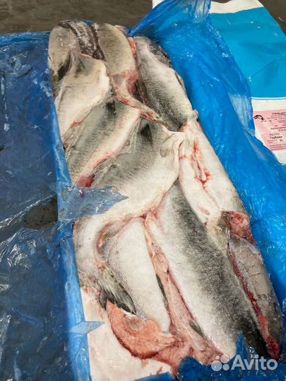 Горбуша опт