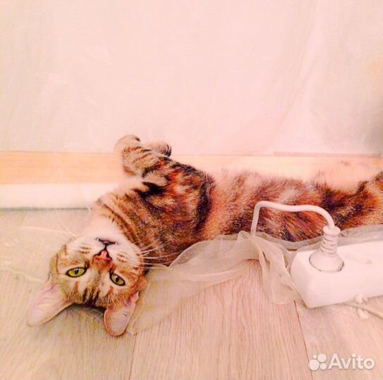 Сонечка красивая и разговорчивая