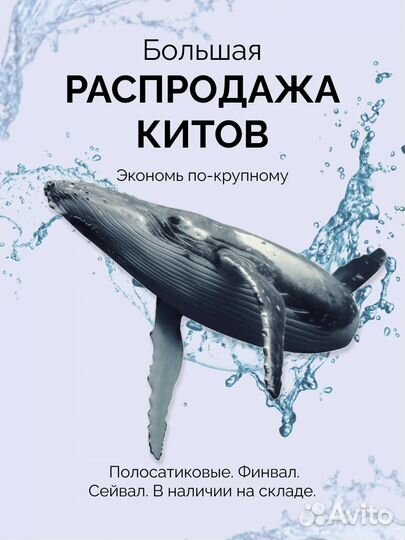 Создание афиш, плакатов, баннеров