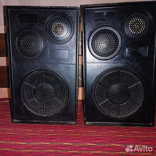 Колонки Вега 25ас 109