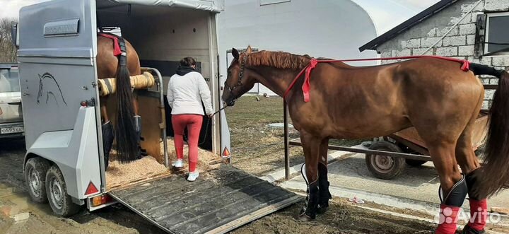 Буксеровка, перевозки, буксеровка