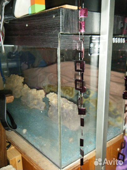 Аквариумы террариумы