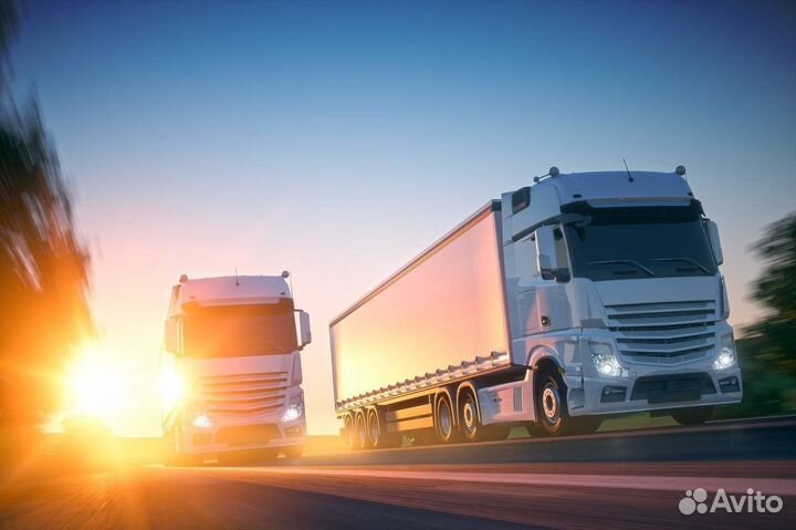 Грузоперевозка негабарита от 300 км. Аренда трала