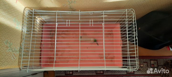 Клетка для декоративного кролика